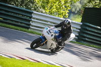 brands-hatch-photographs;brands-no-limits-trackday;cadwell-trackday-photographs;enduro-digital-images;event-digital-images;eventdigitalimages;no-limits-trackdays;peter-wileman-photography;racing-digital-images;trackday-digital-images;trackday-photos